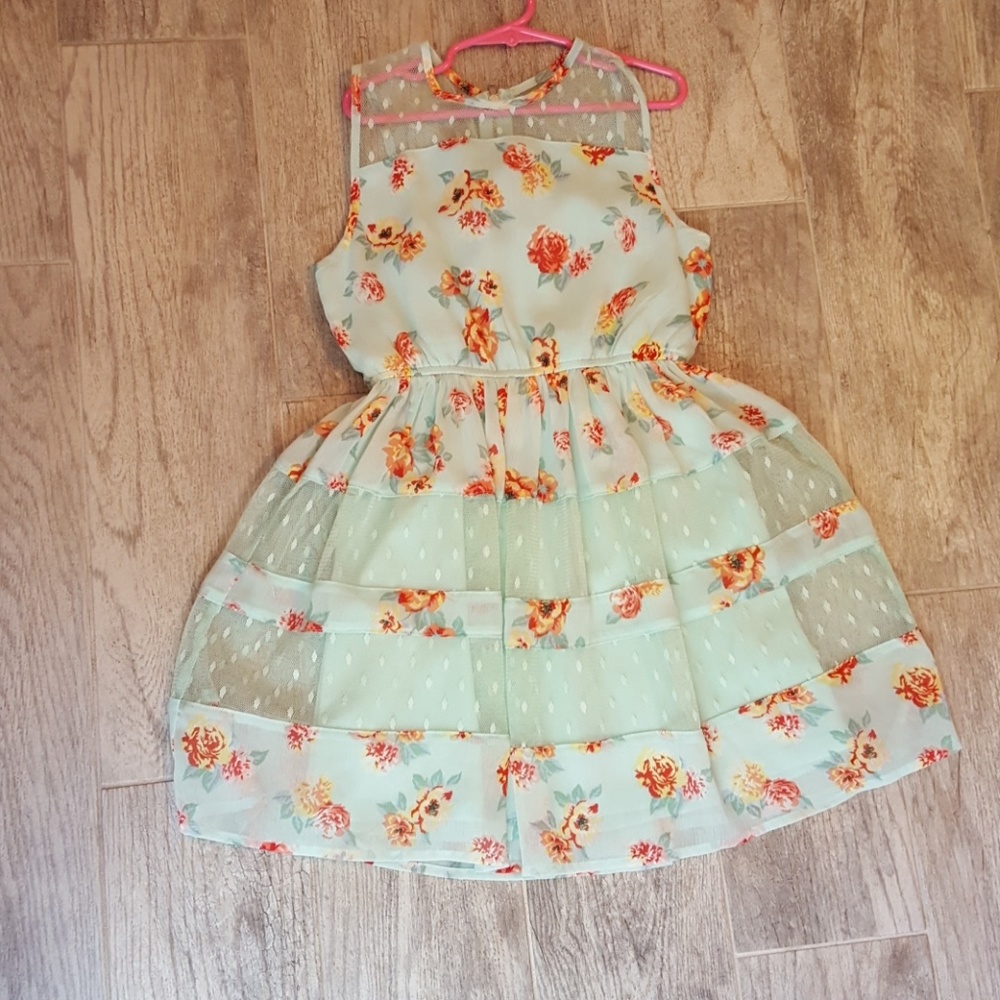 Floral little girls beautiful Disney dress